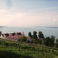 Der Bodensee am frühen Morgen, einfach Klasse wenn es mal nicht regent